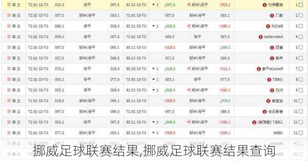 挪威足球联赛结果,挪威足球联赛结果查询