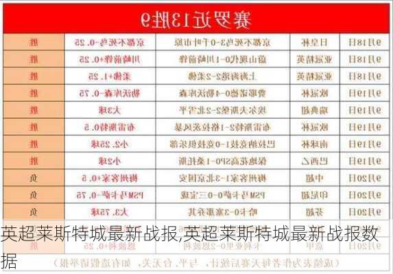 英超莱斯特城最新战报,英超莱斯特城最新战报数据