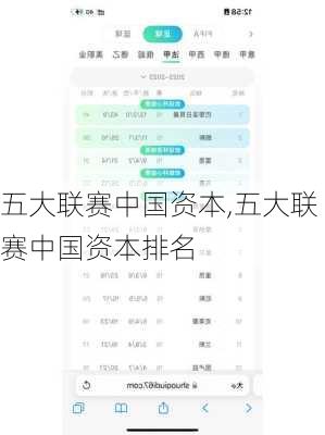 五大联赛中国资本,五大联赛中国资本排名