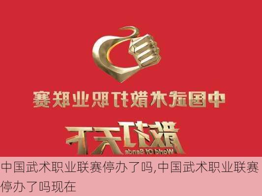 中国武术职业联赛停办了吗,中国武术职业联赛停办了吗现在