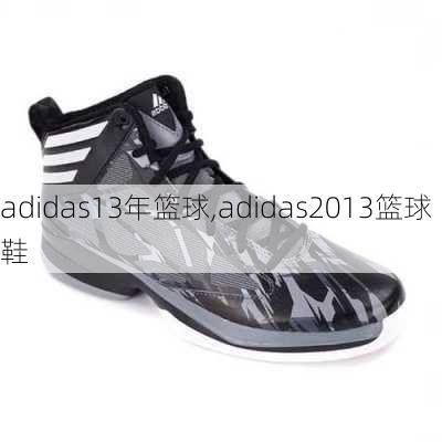 adidas13年篮球,adidas2013篮球鞋