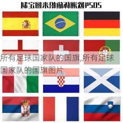 所有足球国家队的国旗,所有足球国家队的国旗图片