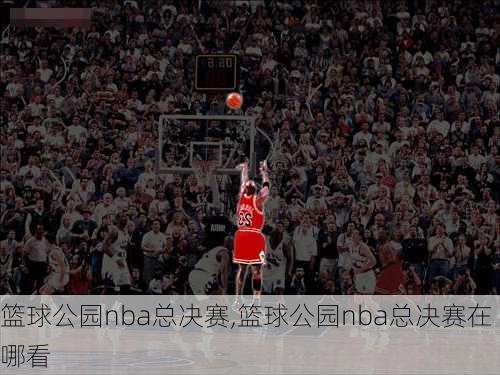 篮球公园nba总决赛,篮球公园nba总决赛在哪看