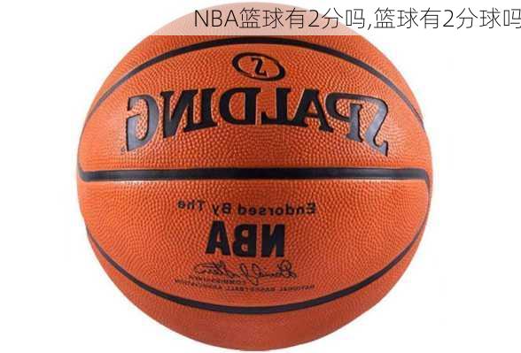 NBA篮球有2分吗,篮球有2分球吗