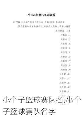 小个子篮球赛队名,小个子篮球赛队名字