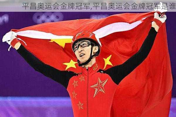 平昌奥运会金牌冠军,平昌奥运会金牌冠军是谁