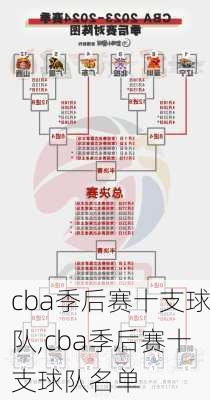 cba季后赛十支球队,cba季后赛十支球队名单