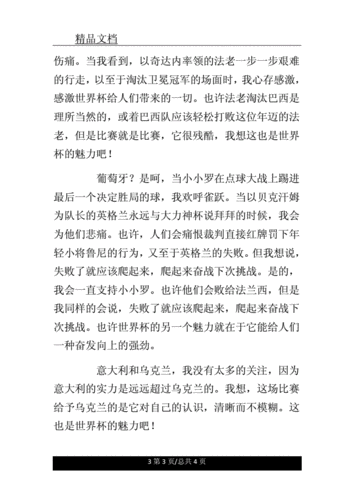 关于欧洲杯的文章,关于欧洲杯的文章有哪些