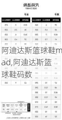 阿迪达斯篮球鞋mad,阿迪达斯篮球鞋码数