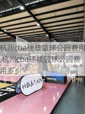 杭州cba硬核篮球公园费用,杭州cba硬核篮球公园费用多少