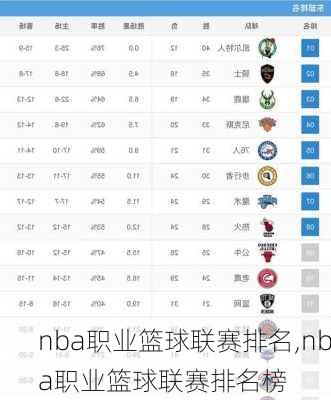 nba职业篮球联赛排名,nba职业篮球联赛排名榜