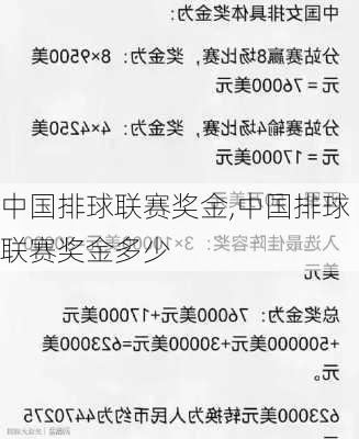 中国排球联赛奖金,中国排球联赛奖金多少