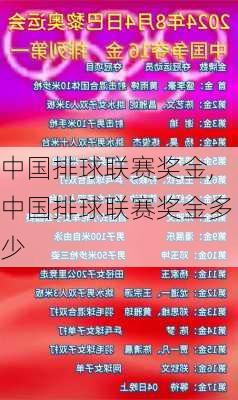 中国排球联赛奖金,中国排球联赛奖金多少