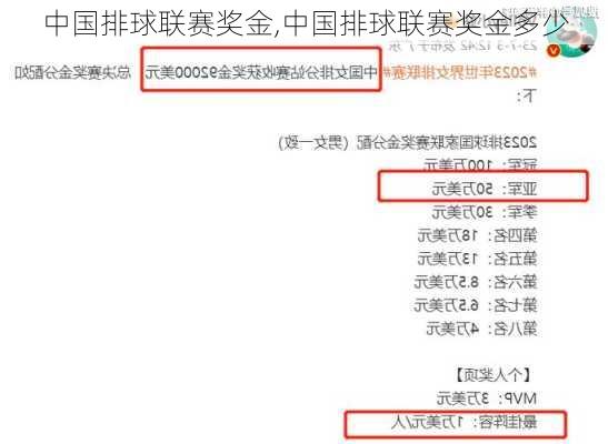 中国排球联赛奖金,中国排球联赛奖金多少