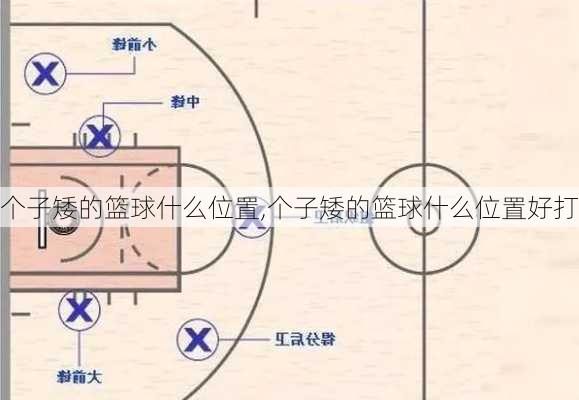 个子矮的篮球什么位置,个子矮的篮球什么位置好打