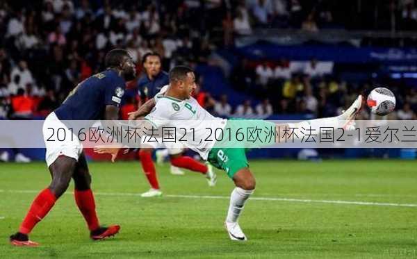 2016欧洲杯法国21,2016欧洲杯法国2-1爱尔兰