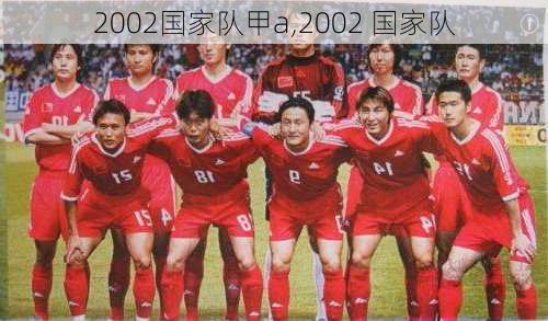 2002国家队甲a,2002 国家队