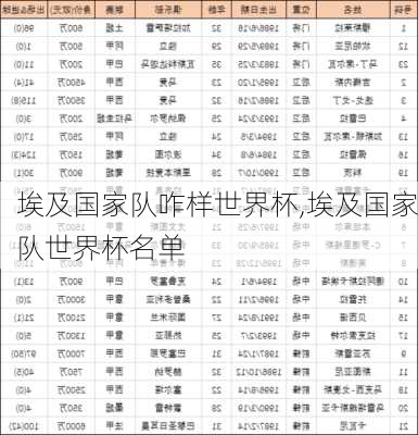 埃及国家队咋样世界杯,埃及国家队世界杯名单