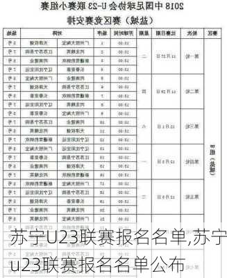 苏宁U23联赛报名名单,苏宁u23联赛报名名单公布