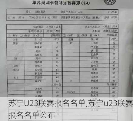 苏宁U23联赛报名名单,苏宁u23联赛报名名单公布