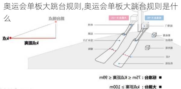 奥运会单板大跳台规则,奥运会单板大跳台规则是什么