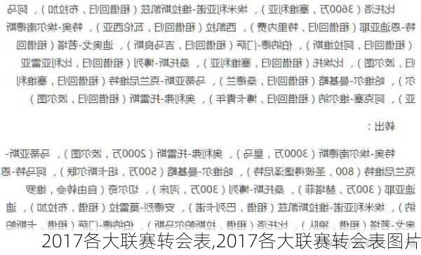 2017各大联赛转会表,2017各大联赛转会表图片