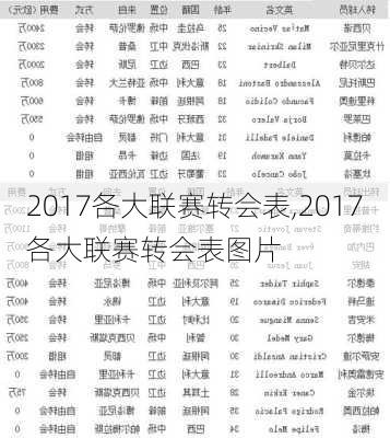 2017各大联赛转会表,2017各大联赛转会表图片