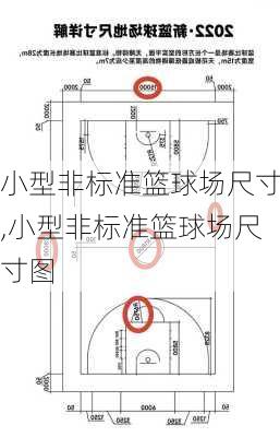 小型非标准篮球场尺寸,小型非标准篮球场尺寸图