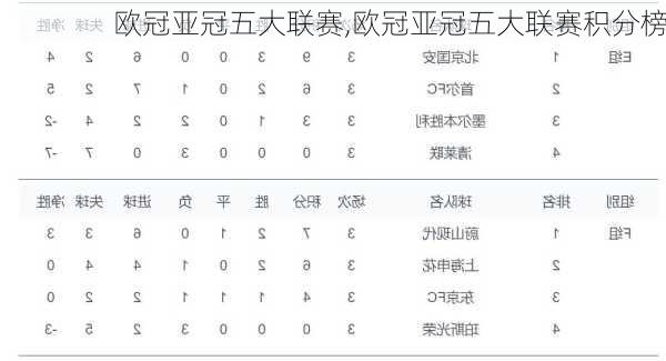 欧冠亚冠五大联赛,欧冠亚冠五大联赛积分榜