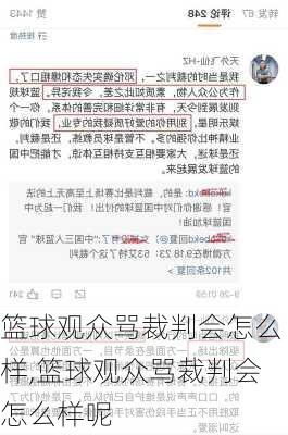 篮球观众骂裁判会怎么样,篮球观众骂裁判会怎么样呢