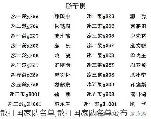 散打国家队名单,散打国家队名单公布