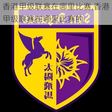 香港甲级联赛在哪里比赛,香港甲级联赛在哪里比赛的