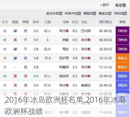 2016年冰岛欧洲杯名单,2016年冰岛欧洲杯战绩