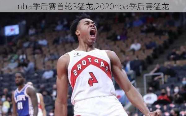 nba季后赛首轮3猛龙,2020nba季后赛猛龙