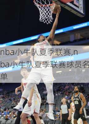 nba小牛队夏季联赛,nba小牛队夏季联赛球员名单