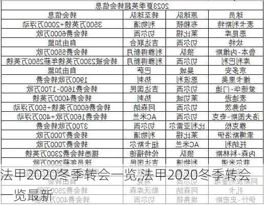 法甲2020冬季转会一览,法甲2020冬季转会一览最新