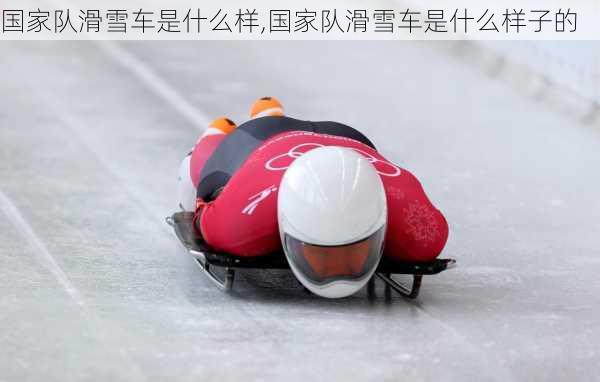 国家队滑雪车是什么样,国家队滑雪车是什么样子的