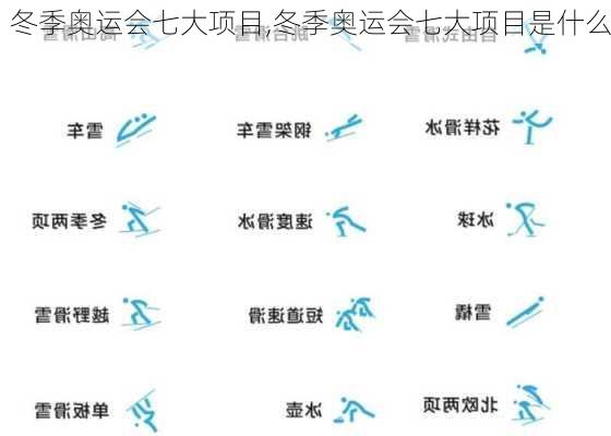 冬季奥运会七大项目,冬季奥运会七大项目是什么