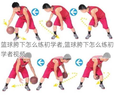 篮球胯下怎么练初学者,篮球胯下怎么练初学者视频