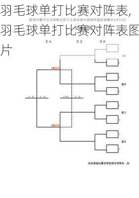 羽毛球单打比赛对阵表,羽毛球单打比赛对阵表图片