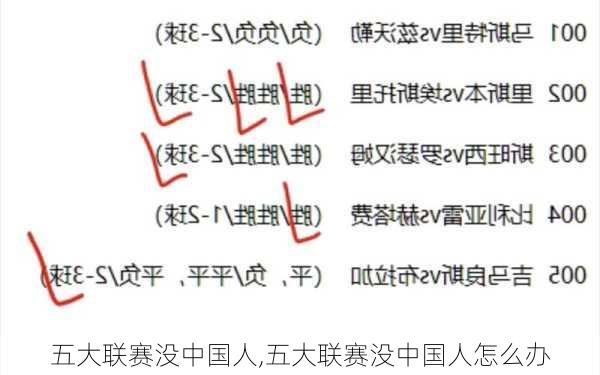 五大联赛没中国人,五大联赛没中国人怎么办