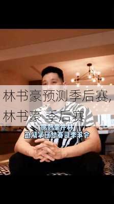 林书豪预测季后赛,林书豪 季后赛