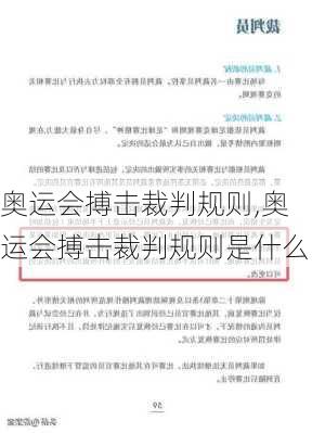 奥运会搏击裁判规则,奥运会搏击裁判规则是什么