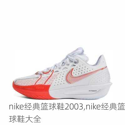 nike经典篮球鞋2003,nike经典篮球鞋大全