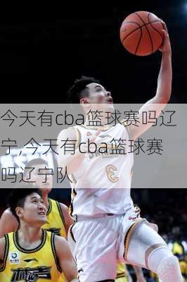 今天有cba篮球赛吗辽宁,今天有cba篮球赛吗辽宁队