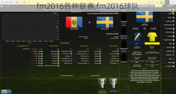 fm2016各种联赛,fm2016球队