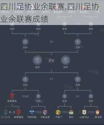 四川足协业余联赛,四川足协业余联赛成绩