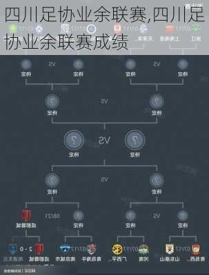 四川足协业余联赛,四川足协业余联赛成绩