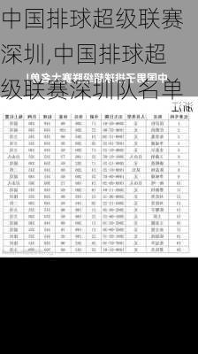 中国排球超级联赛深圳,中国排球超级联赛深圳队名单