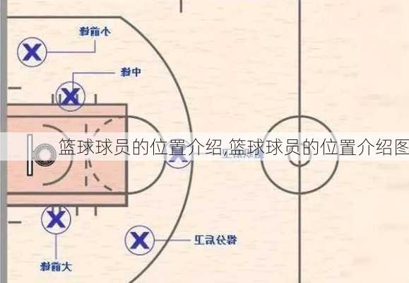 篮球球员的位置介绍,篮球球员的位置介绍图